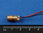 Micro Red Laser Module - 5 Pack  6mm 3V driver